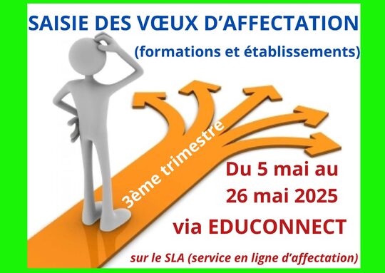 Saisie des voeux T3.jpg